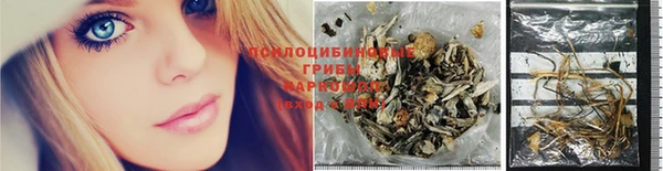 jwh Нефтекумск