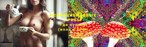 стафф Нефтегорск